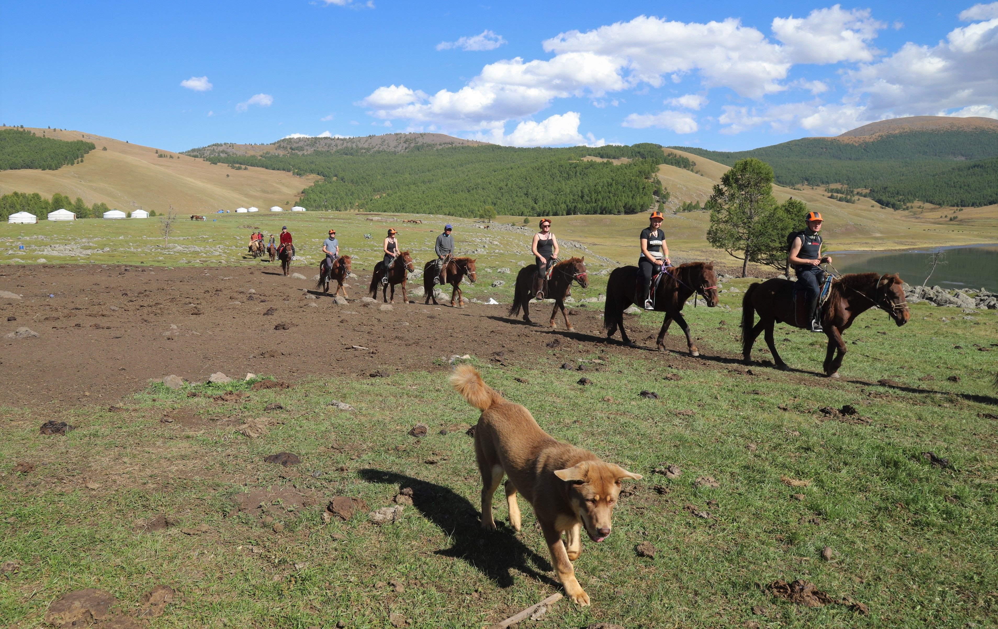 tourhub | YellowWood Adventures | Horse riding with Mongolian nomads 