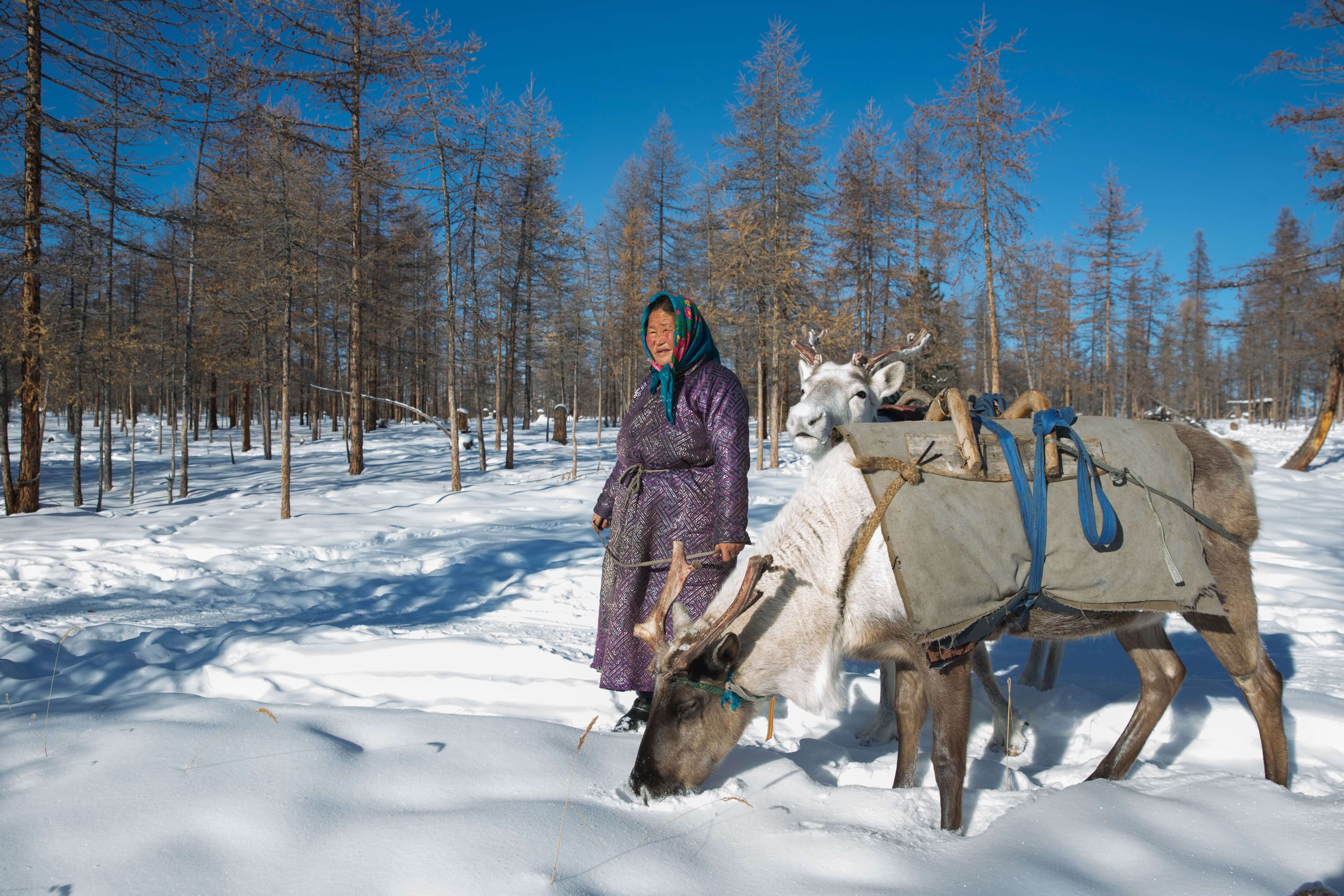 tourhub | YellowWood Adventures | Tsaatan Tribe: The reindeer herders of Mongolia 