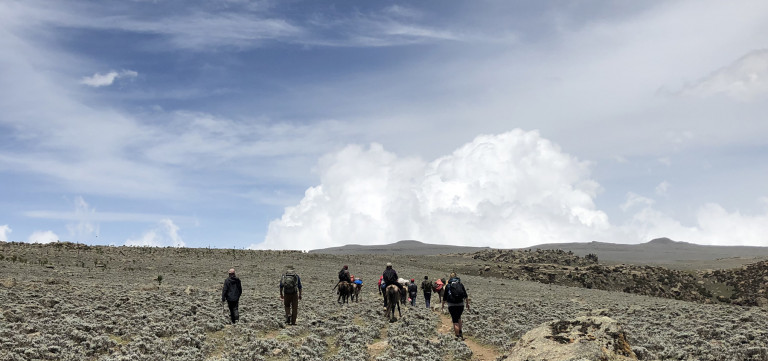 Trekking, Wolves of the Bale Mountains, Ethiopia