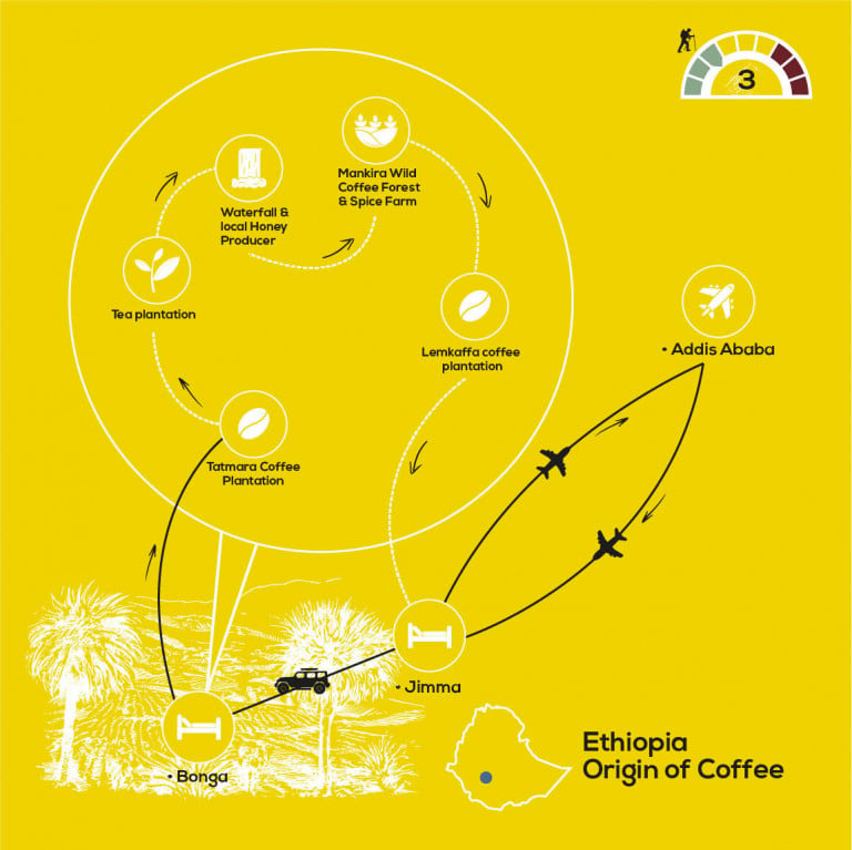 Origin of Coffee Journey, YellowWood Adventures Map