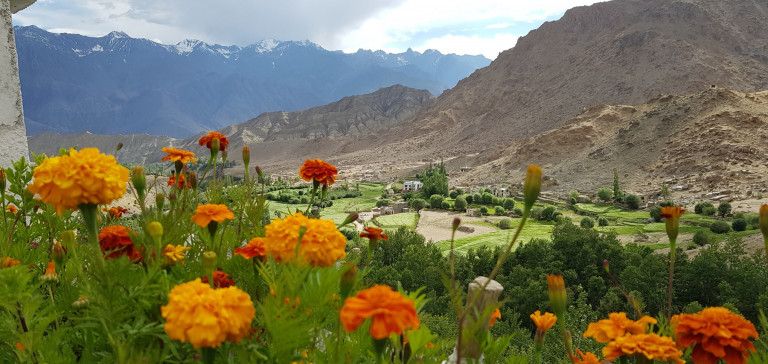 Views from Likir Monastery, Hiking the High Monasteries of Ladakh
