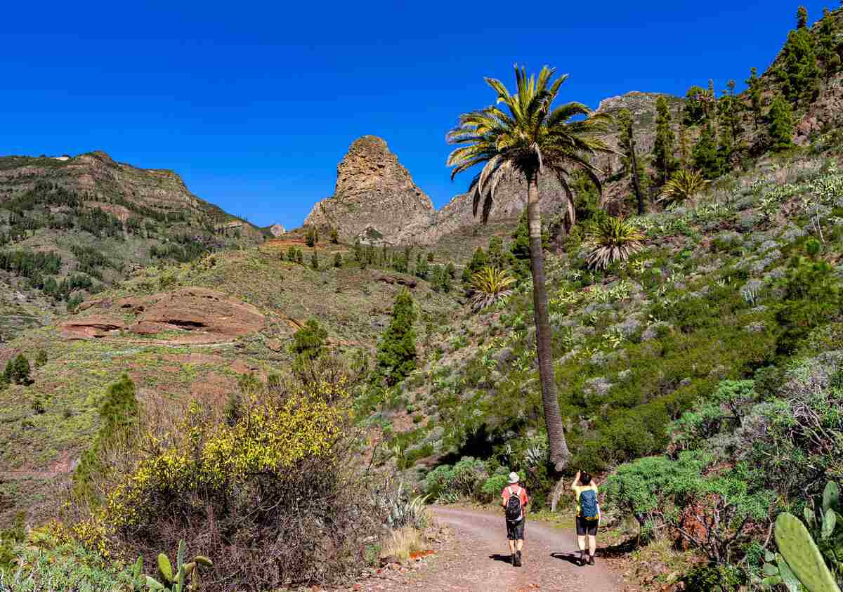 tourhub | YellowWood Adventures | Canary Islands Yoga Adventure 