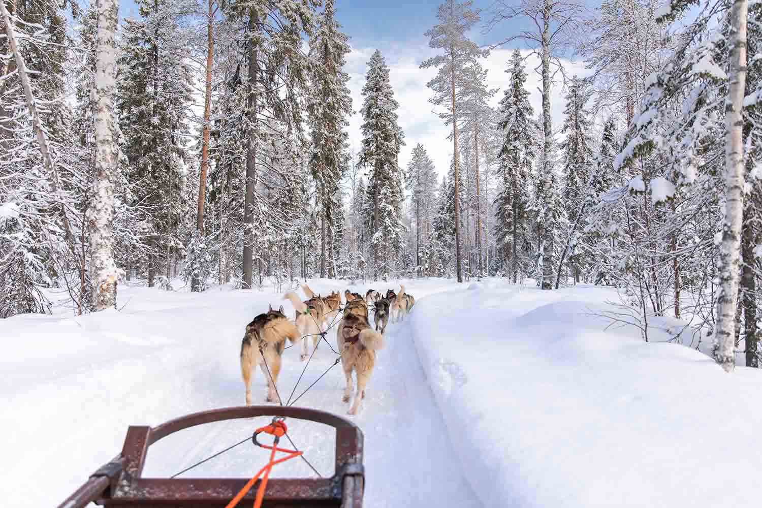 tourhub | YellowWood Adventures | Lapland: A Winter Adventure 