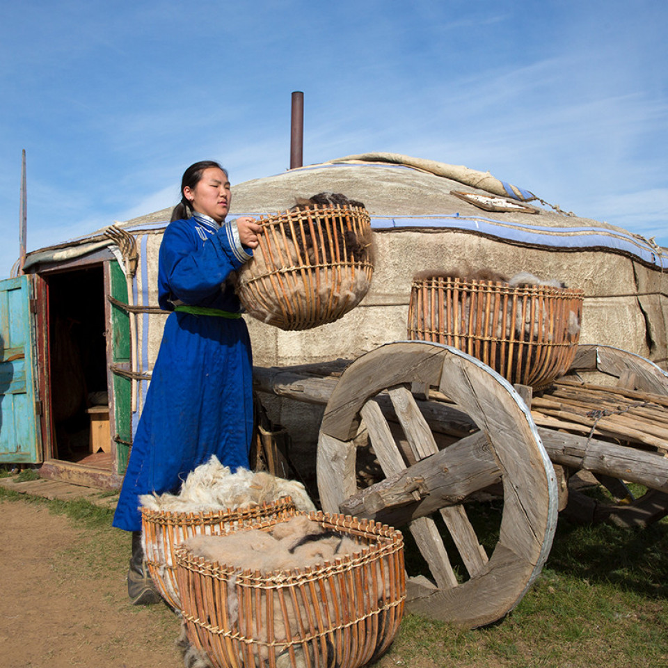 Naadam Festival | Mongolia Tours | YellowWood Adventures