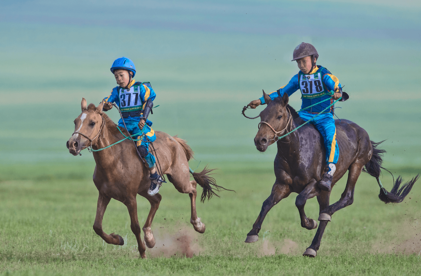 Naadam Festival | Mongolia Tours | YellowWood Adventures