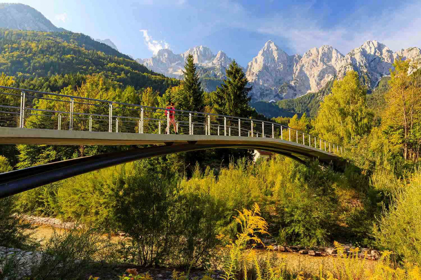 Slovenia Trekking Tour Hiking in Slovenia's Julian Alps Yellow Wood