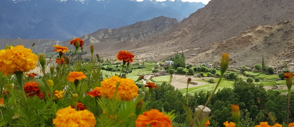 View from Likir Monastery, Ladakh, India