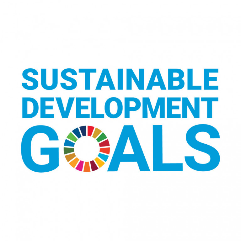 Sustainable Development Goals logo