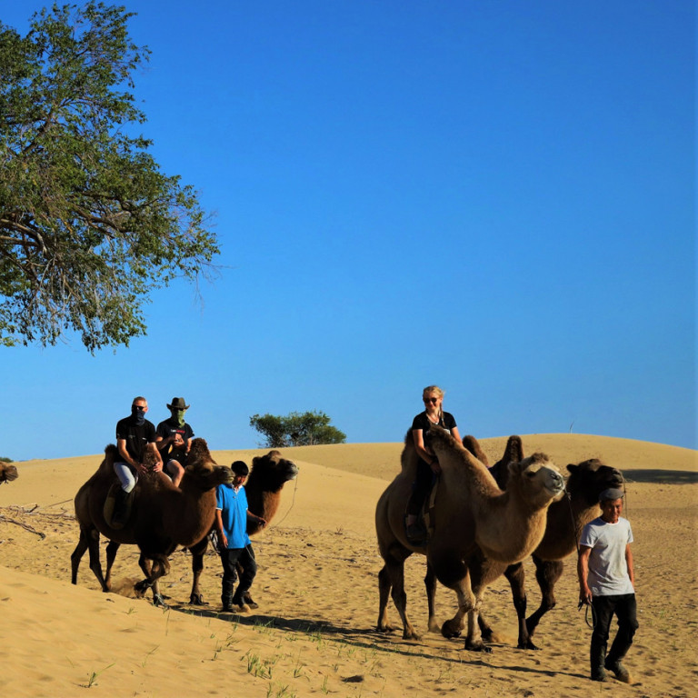 Camel Riding, Gobi Desert, Mongolia