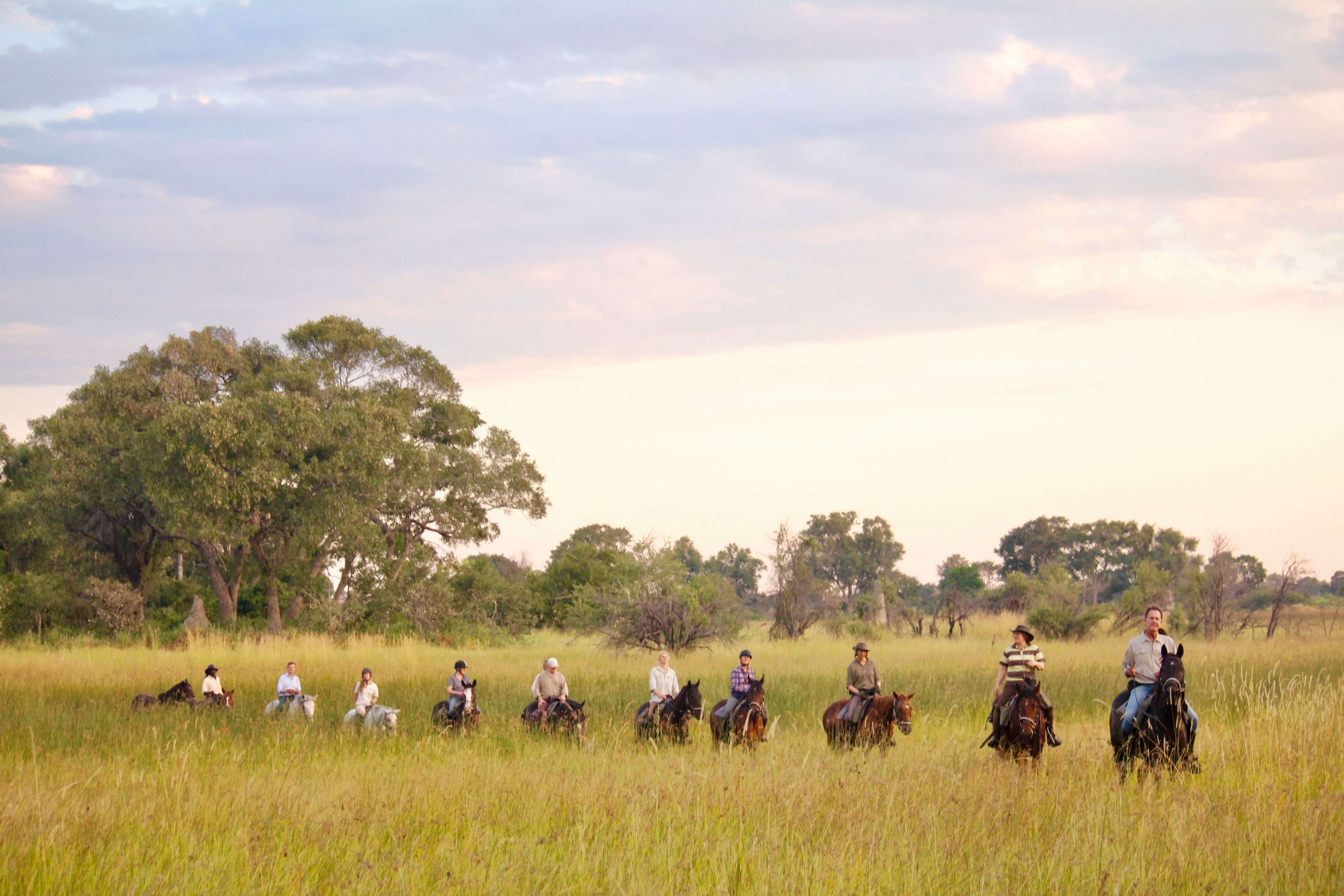 tourhub | YellowWood Adventures | Horse riding safari in Botswana's Okavango Delta 