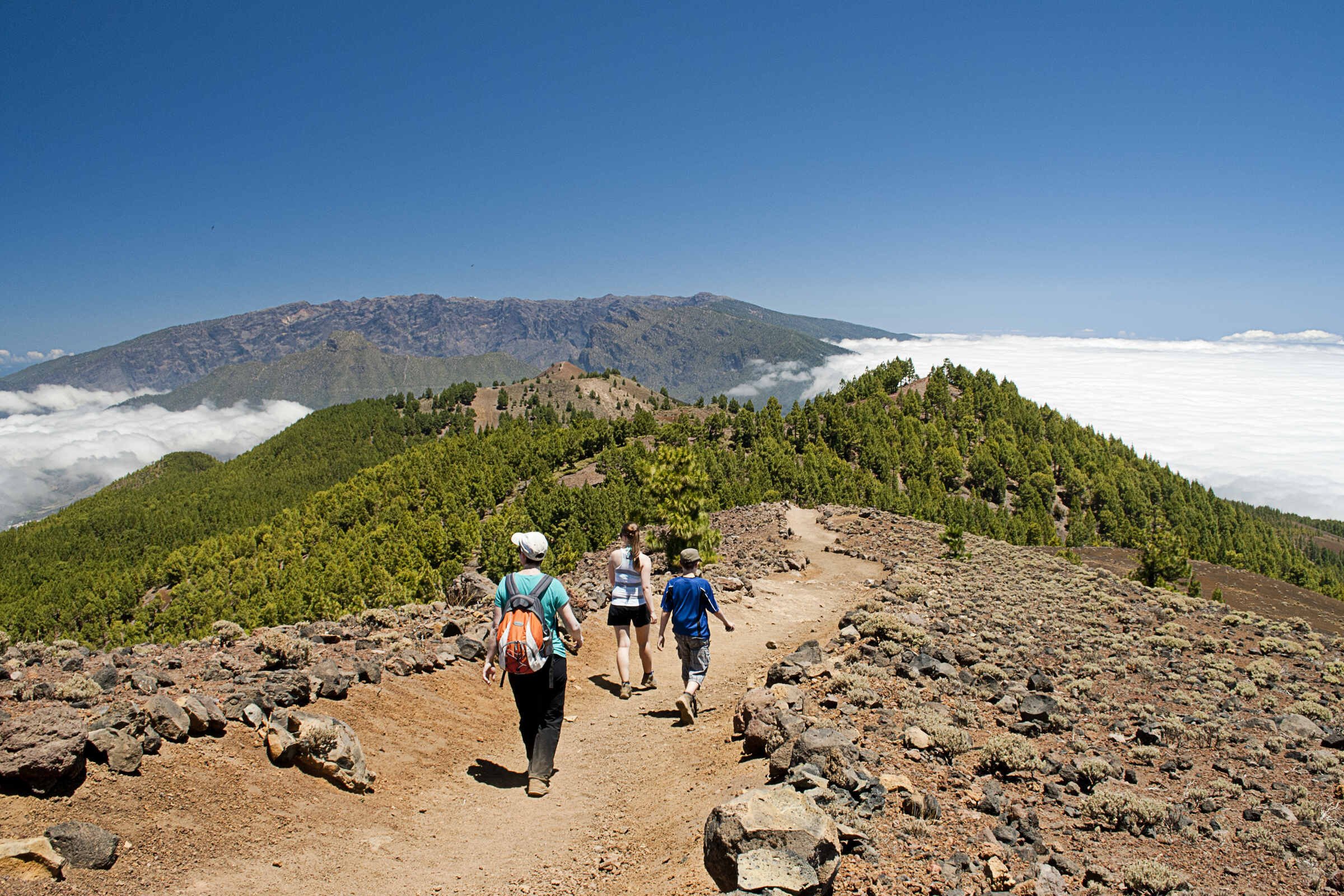 tourhub | YellowWood Adventures | Hiking the wondrous landscapes of the Canary Islands 