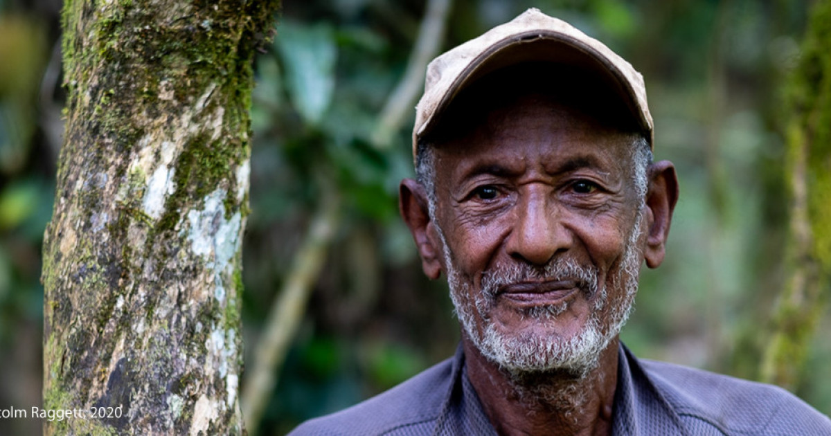 Ethiopian Coffee Tour Origin of Coffee Journey Yellow Wood Adventures