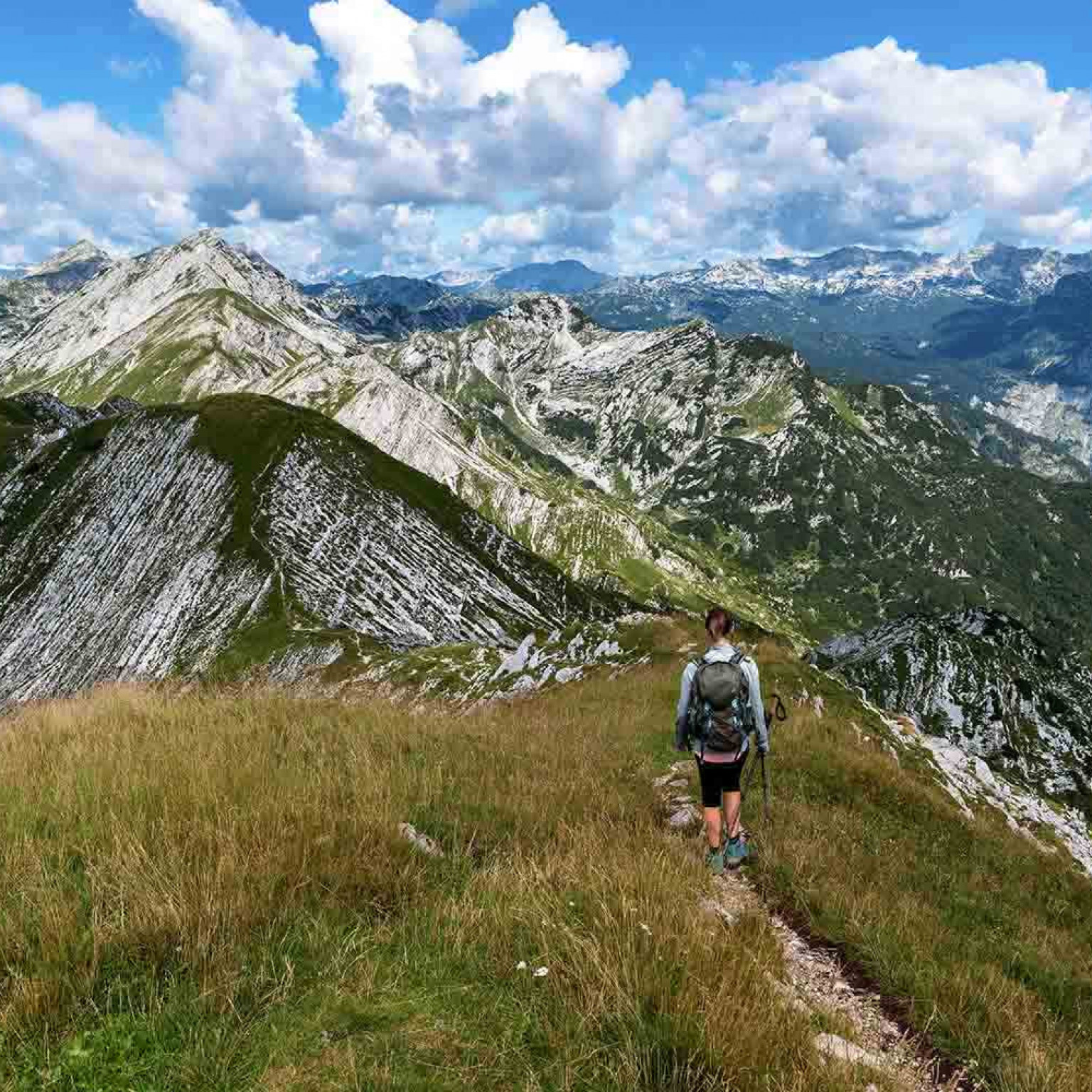 Slovenia Trekking Tour Hiking in Slovenia's Julian Alps Yellow Wood