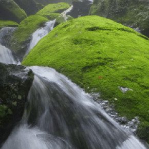 Waterfall in lush forests of Okinawa, Ryukyu Islands, Japan