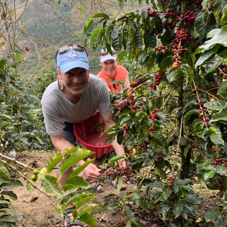Picking Coffee Cherries, Organic Coffee Farm, Costa Rica