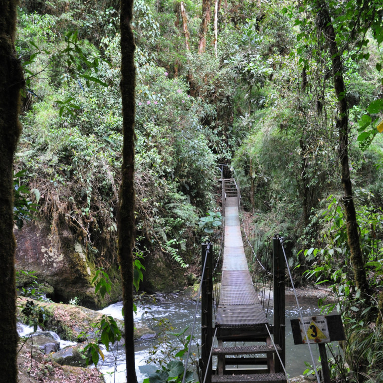 Slatted bridge across river, San Gerardo de Dota, Costa Rica