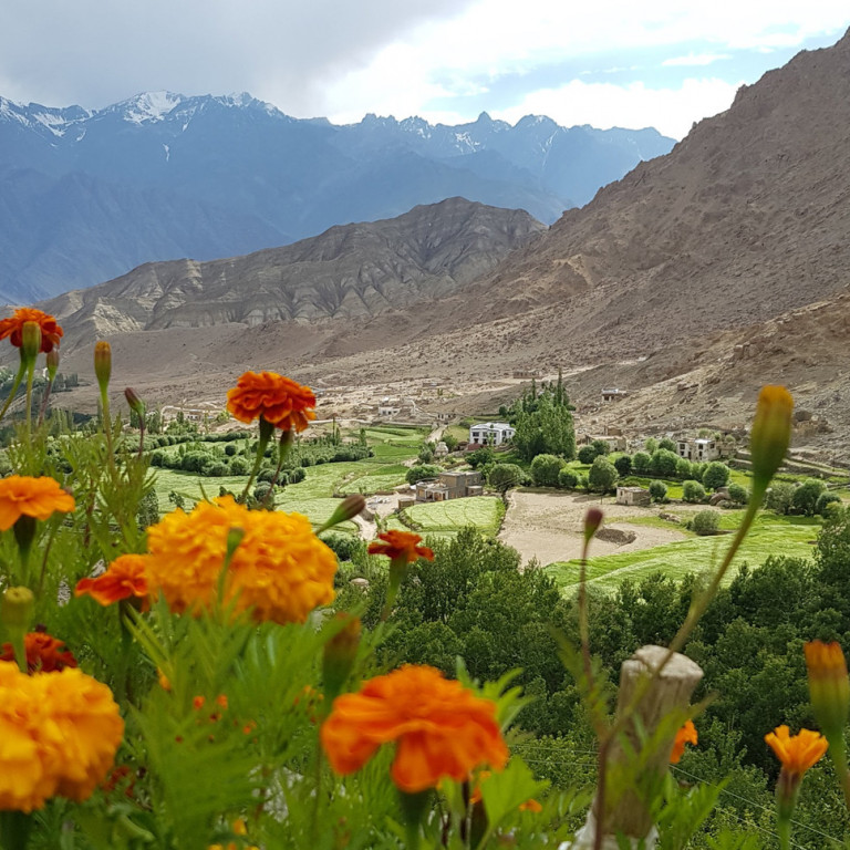 Views from Likir Monastery, Hiking the High Monasteries of Ladakh