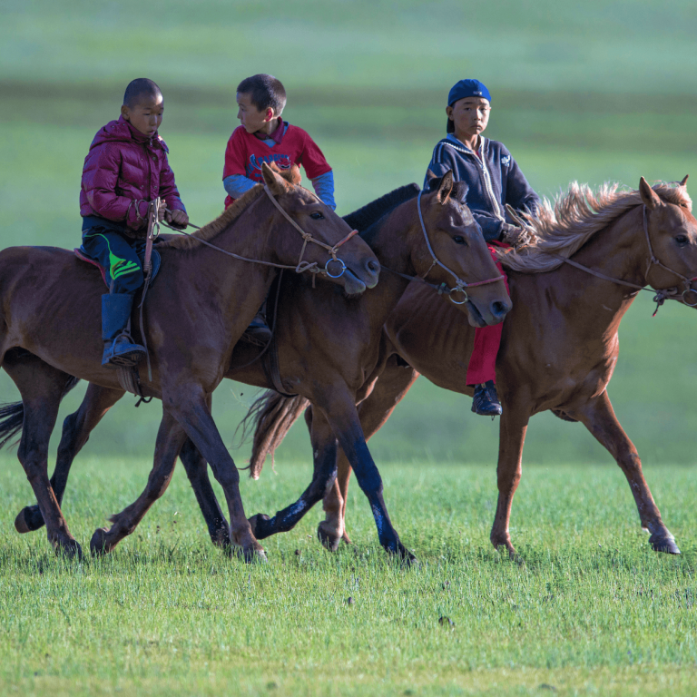 Naadam Festival | Mongolia Tours | YellowWood Adventures