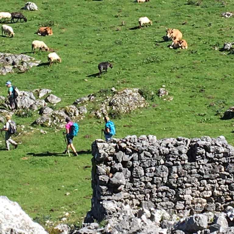 hiking-in-northern-spain-trails-traditions-of-the-picos-de-europa