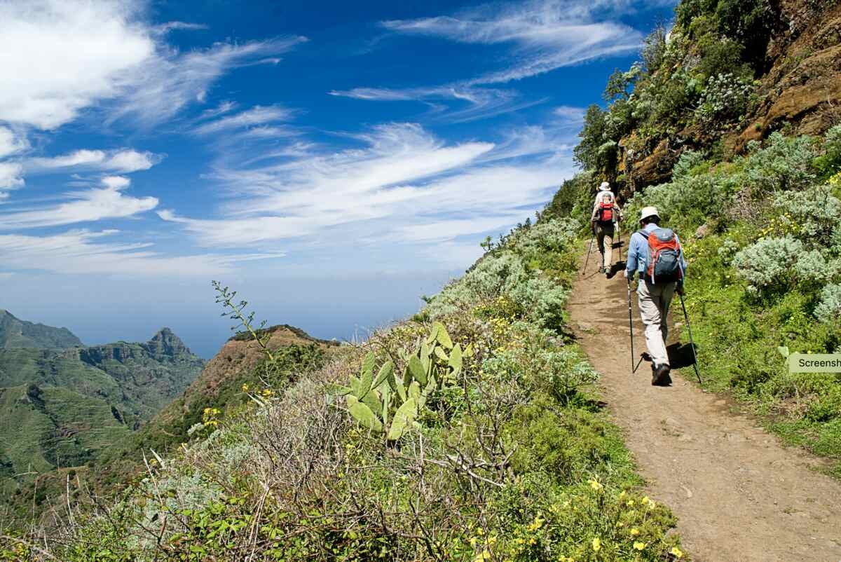 tourhub | YellowWood Adventures | Hiking the wondrous landscapes of the Canary Islands 