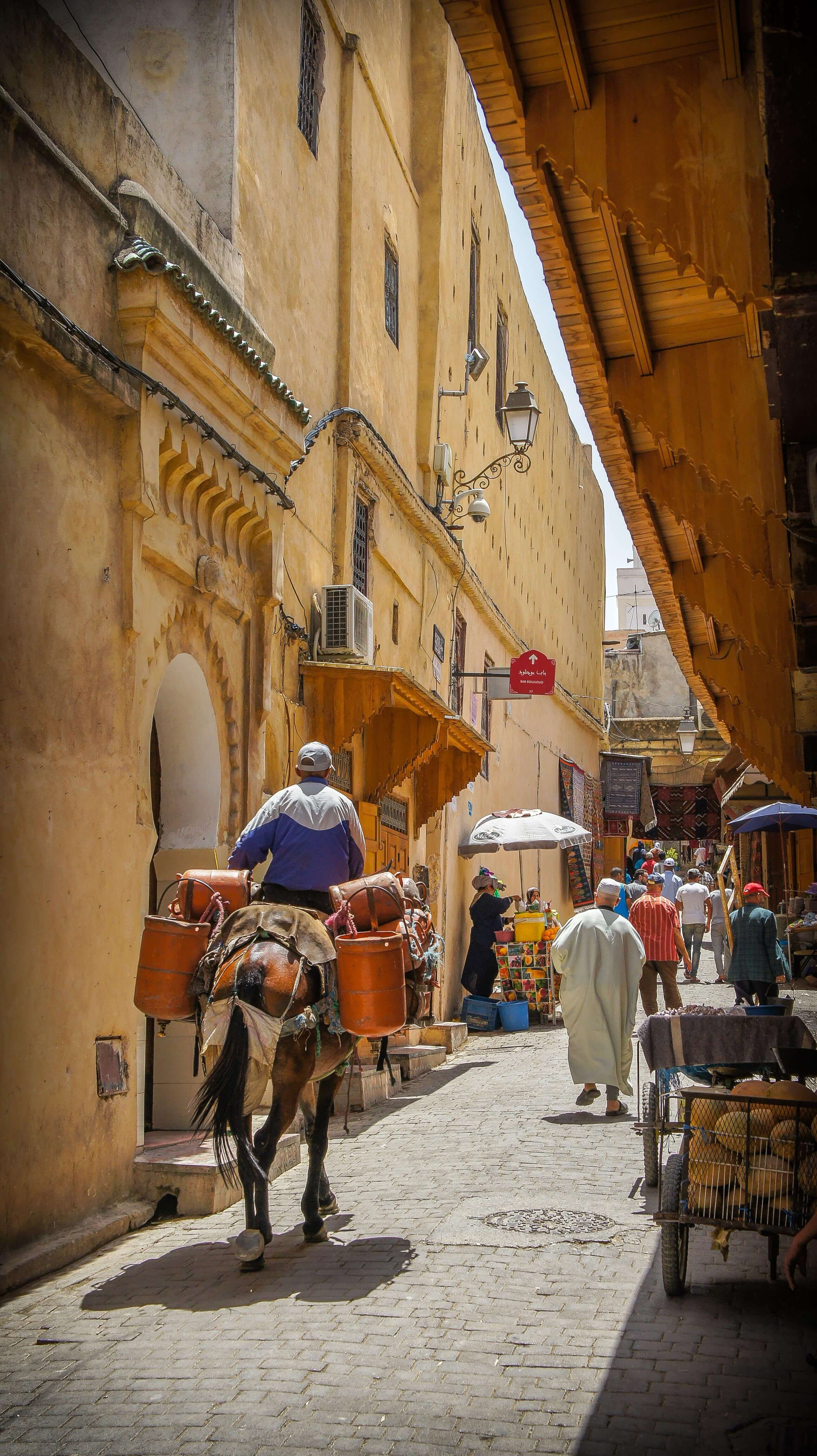 tourhub | YellowWood Adventures | Sights & Sounds of Morocco | MOR-SS